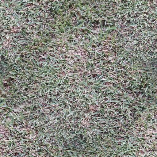 Wild grass is a royalty-free texture in the category: seamless pot grass ground tileable pattern