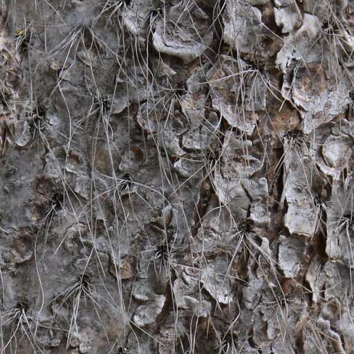 Rough tree bark is a royalty-free texture in the category: seamless tree bark pattern nature
