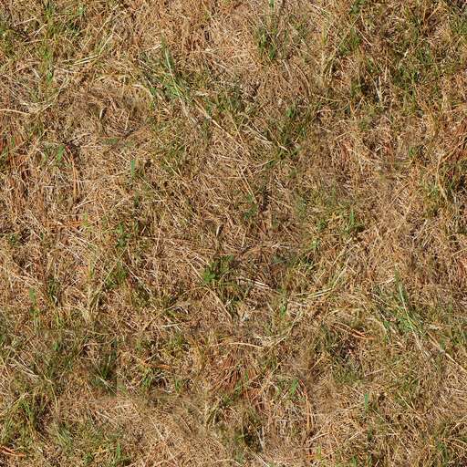 Dry grass ground is a royalty-free texture in the category: seamless pot grass ground tileable brown dry pattern