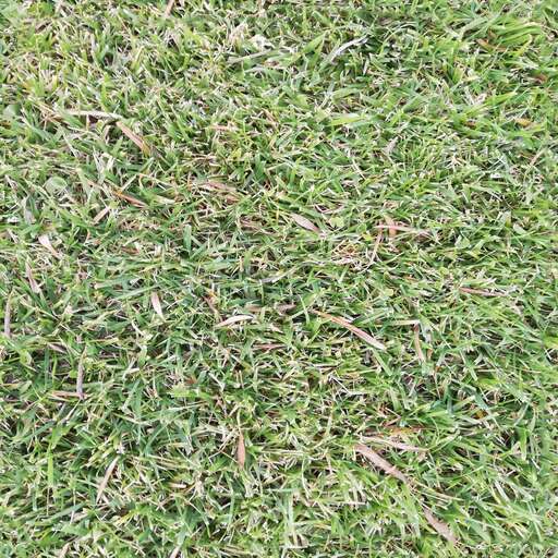 Thick grass is a royalty-free texture in the category: seamless pot grass tileable thick pattern