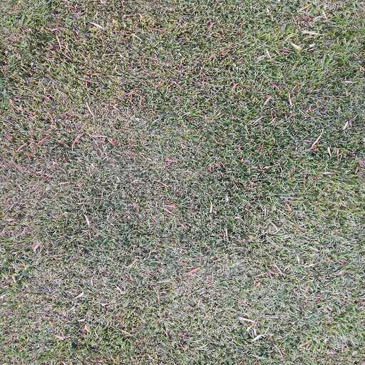 Deep grass is a royalty-free texture in the category: seamless pot grass tileable pattern green